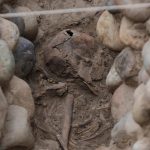 Skeletal remains believed to be person sacrificed during ritual unearthed by archaeologists in Peru