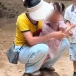 Mum enters zoo enclosure with daughter and 'rides giant tortoise like a skateboard'